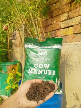 OneGoodSeed Testimonial